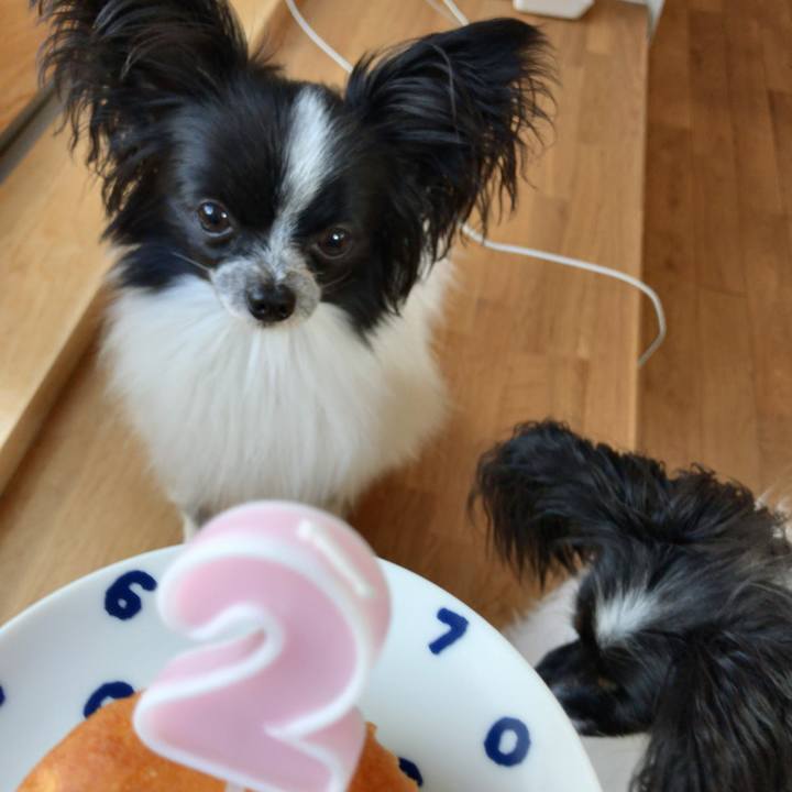 Dafd40db 2a2e 43eb b764 f2179f1c05c2 1523279824276