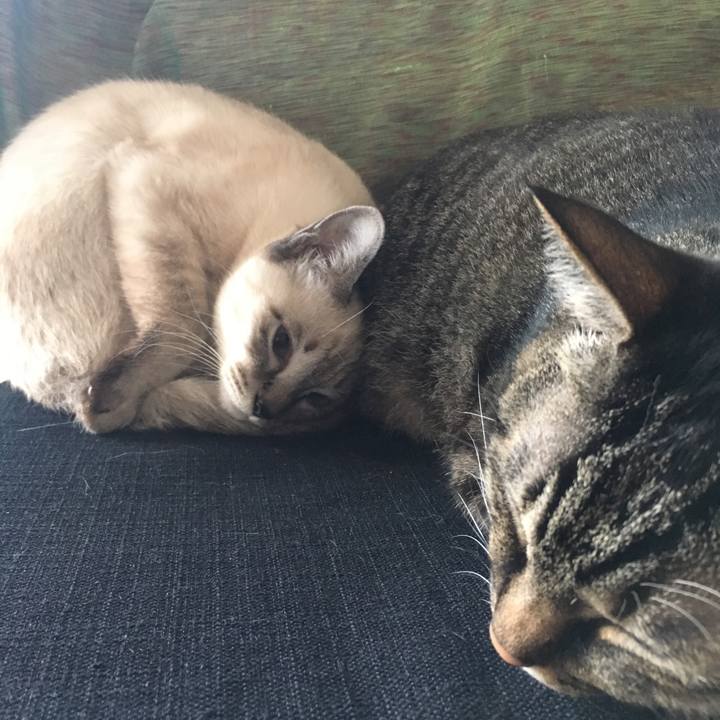 Dafd6069 d1e9 4227 8e0e 4ba9c125df00 1542095364379