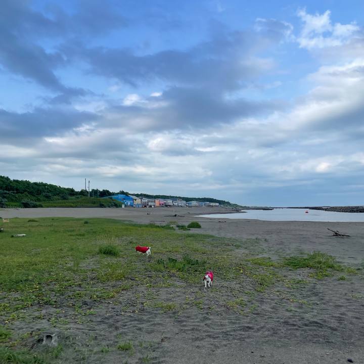 Dafd75cd c00f 437e 8aa3 daf7598b81d9 1689031051619