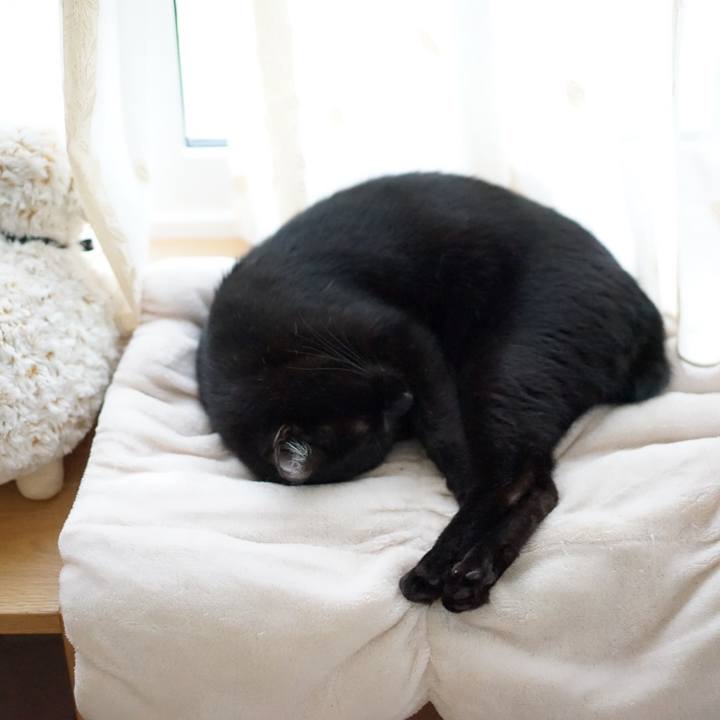 Dafd8815 f3d0 4411 90c2 0f17a541b971 1555828763099