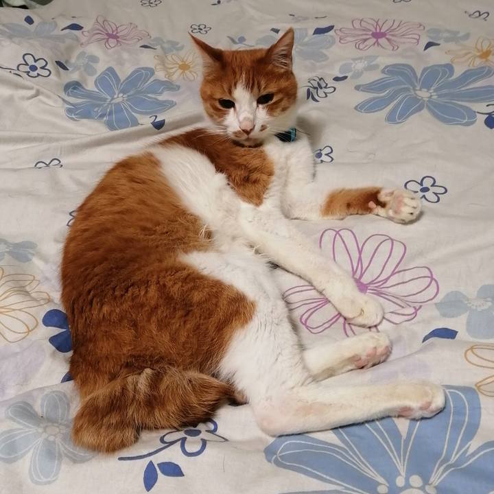 Dafd89e5 4222 406b b2b5 d9196bf9ea7c 1620937864076