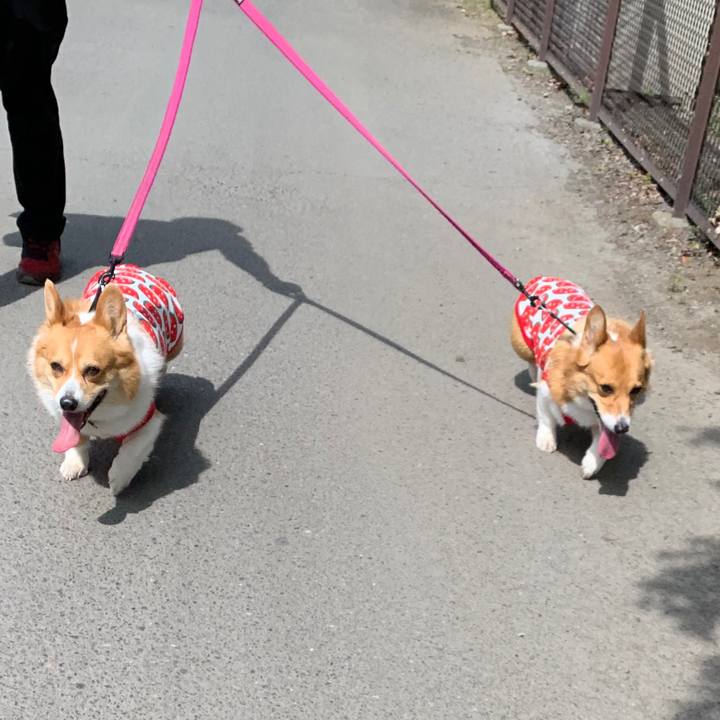 Dafe21f7 9cce 4c36 91a9 3fff575e9989 1557025043905