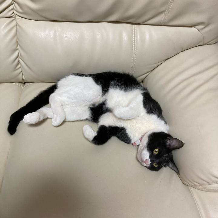 Dafe3cf4 2fb7 46a7 8a2d df60449d81c4 1637474098038