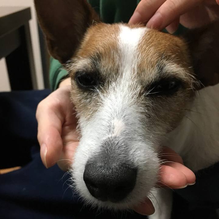 Dafe8d04 6449 413a 961a 78a8ef354c6f 1553816505214