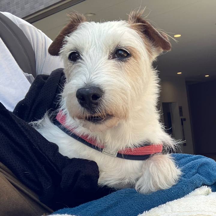 Dafe923b 1af0 4168 816f d41fd735c716 1684465365852