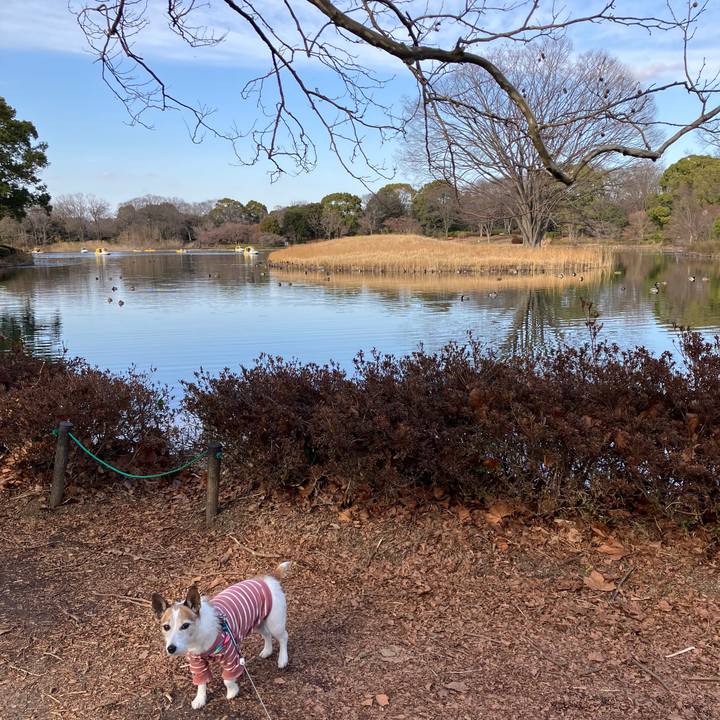 Dafeef6d 58f2 49b4 be53 a4b893917139 1708820187312