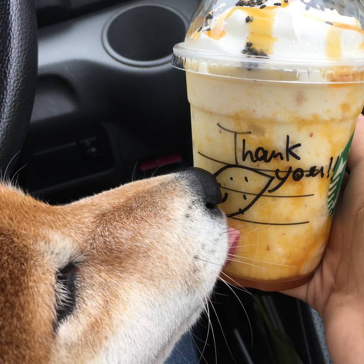 Daff3f5e 28ba 4ed1 bda4 7c042027443c 1601115502514