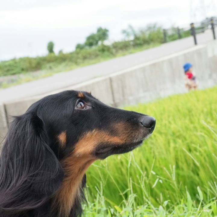 Daff5b8a bb8a 4de7 b544 23132a1889fb 1536716451113