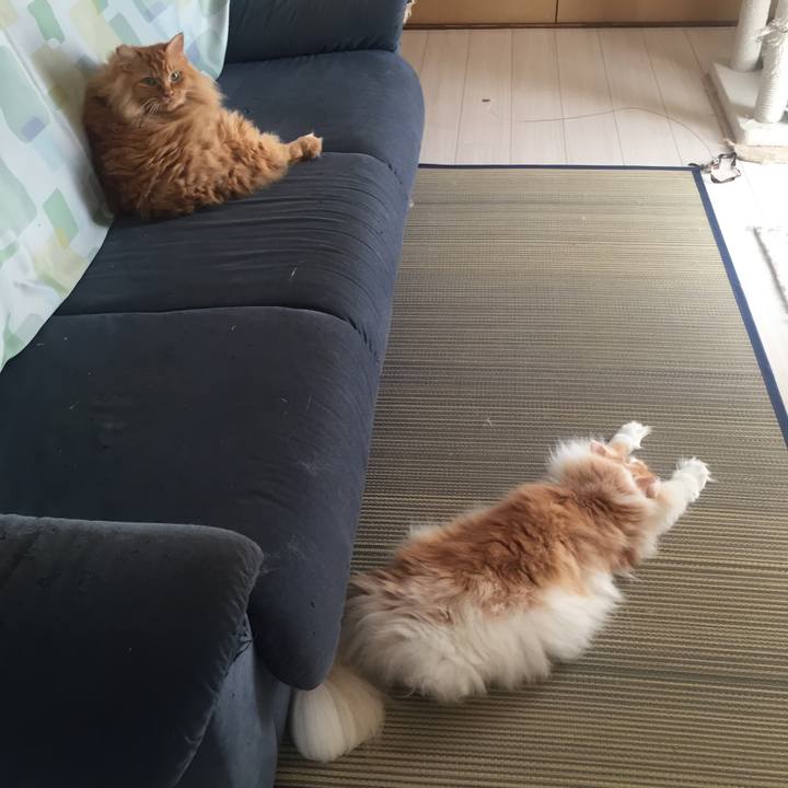 Daff5dac 0b6e 4849 8c96 0dda5b00437f 1534544562214