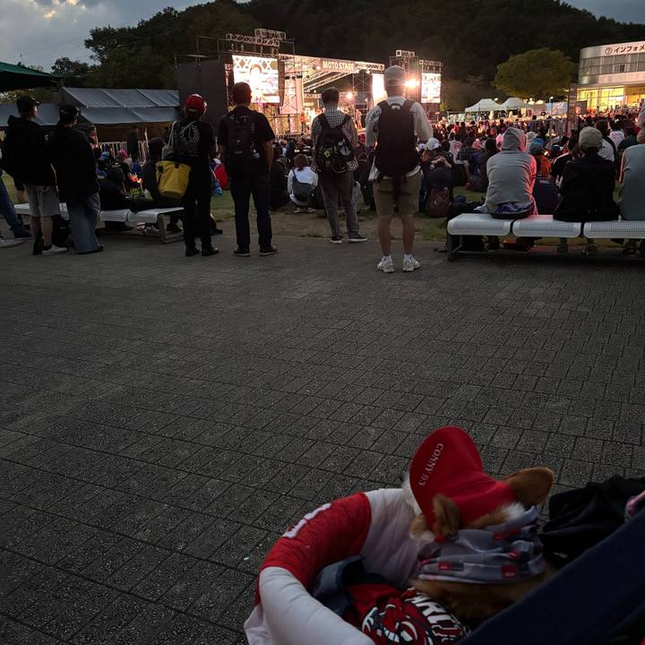 Daff61d9 c675 481b 9e42 0e05c64c96cd 1758963018410