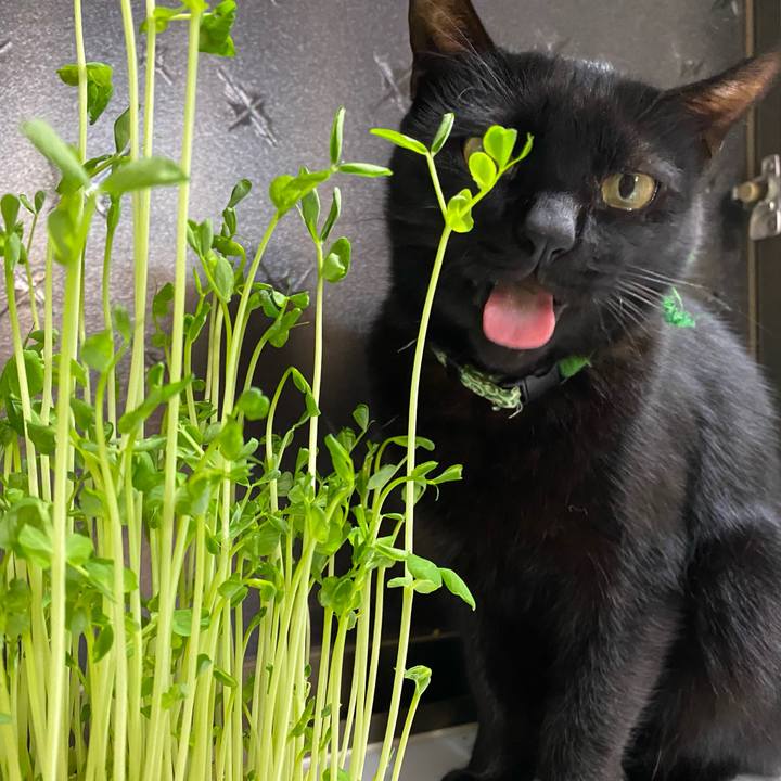 Daff77b4 9fa2 44f1 97e8 c41659d40dde 1669381382473