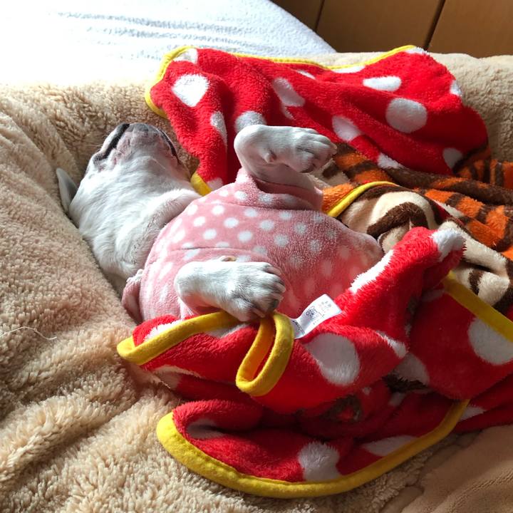 Daff9567 511d 4835 9484 99cb27c5b0c8 1613133272813