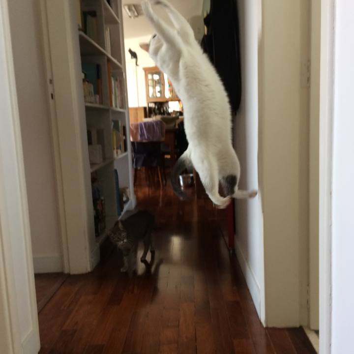 Daff99c4 67a5 4d06 92b3 736e08899d57 1540918292727