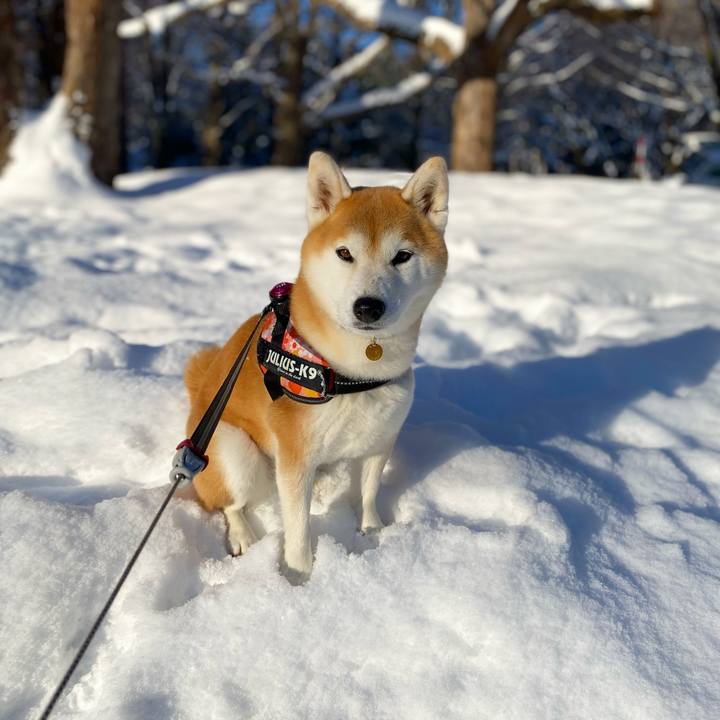 Daffa2ed 3260 4999 8649 b3a3d8450948 1641778408453