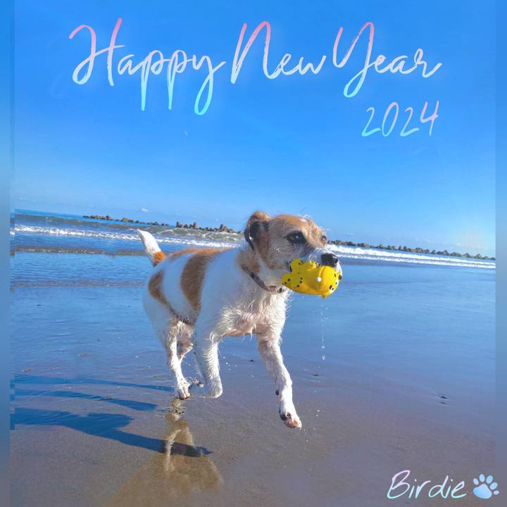 Daffcaef f10c 4f69 9578 e2c77c8f6fa6 1704077287076