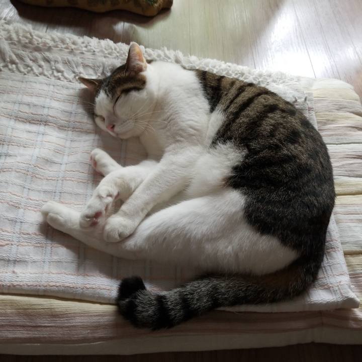 Daffd258 d3f0 4409 92de 9d7bd68d754e 1595562484892