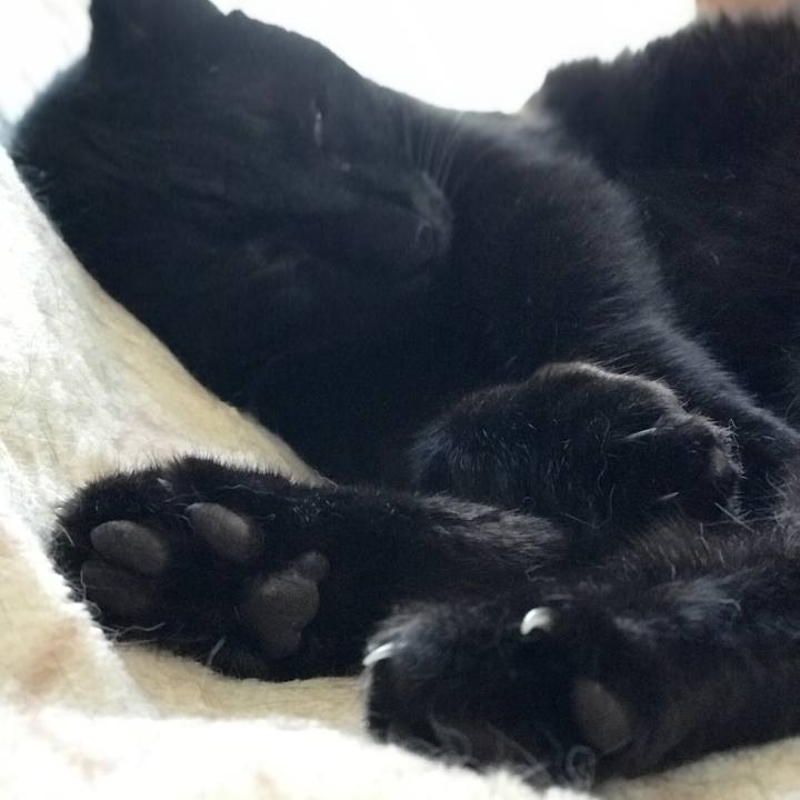 Daffd797 7b1a 44a7 b41f a7e7dfa34477 1527126684807