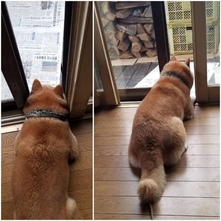 Daffd841 8e87 410a 925c 693c0646bd97 1703550855345