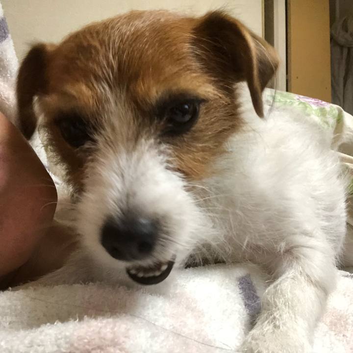 Dafff2e0 81a4 40cd 8df6 809741e00a0e 1542968997083