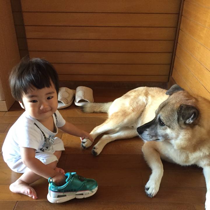 Dafff93a b301 45b0 acef f06591bb3d4a 1565487237184