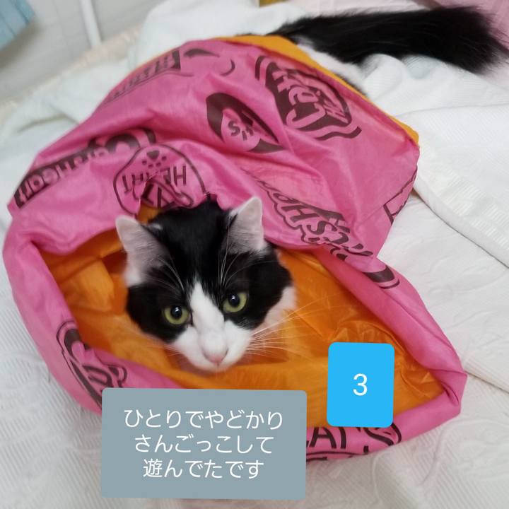 Db000639 1c30 47ad 830f 7b8793b61130 1544954365556