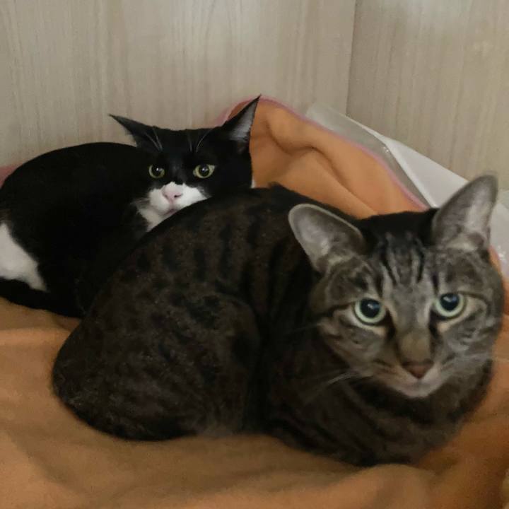 Db001b1e b7f8 4c98 acef 79090fcc469d 1637556157566