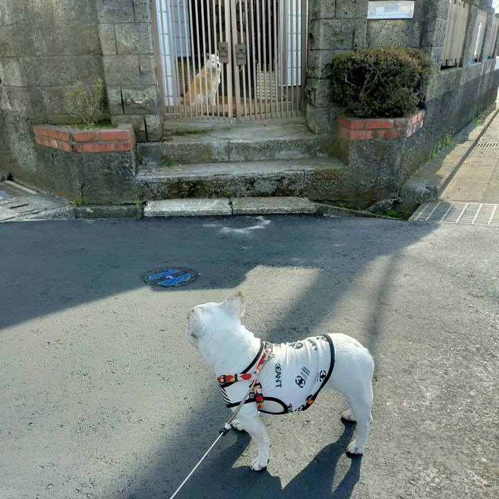 Db00cba7 be17 4aba a49a 06e8f5364cc2 1649717083628