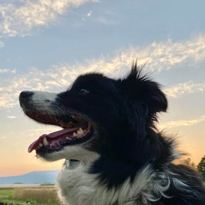 Db00d1f5 1d23 4d24 9f89 6c00d276de9d 1621727500383