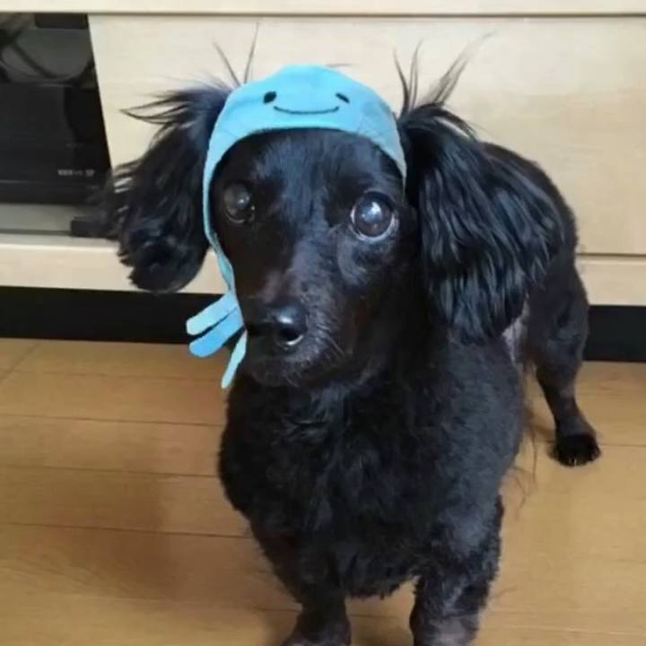 Db00de14 54c6 4cdf ab87 0ecd7b9b4226 1535856120699