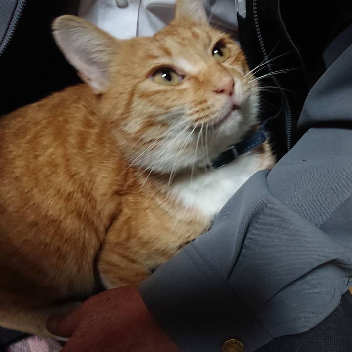 Db010830 aadf 43b2 b6f6 982311d41a26 1602629122377