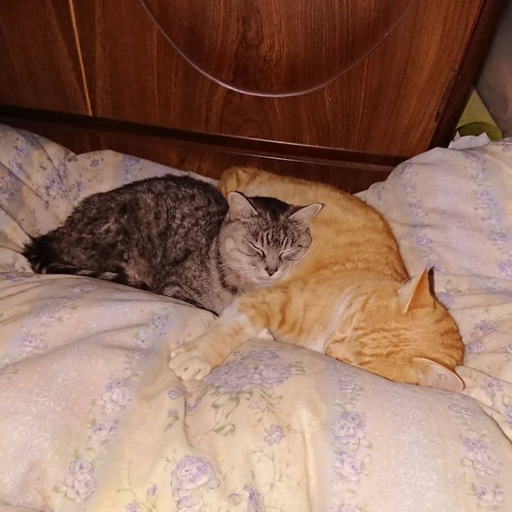 Db011da3 a38d 4965 b391 103d5dc92e8a 1578842703905