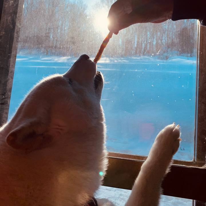 Db013fa6 604b 472c b14b 5fcc87fff337 1610952343806