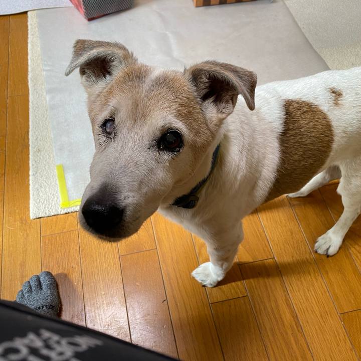 Db0156c2 e2d6 4865 b935 e64299092e5a 1704943088763