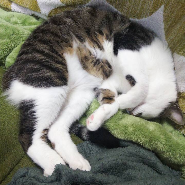 Db019e66 1fa6 428a 84ee 994d20d922e1 1650002910836