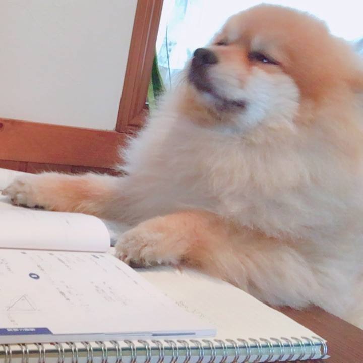 Db01f105 50d2 4a9c a086 9f5f772aa554 1508464386464