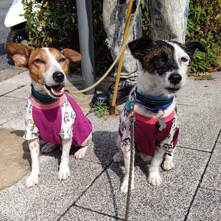 Db01f821 7e2d 47cb 9f6a b5af200d0bc3 1720828112873