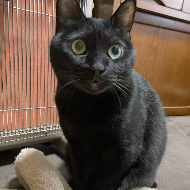 Db0202ee 02b2 4dfc 9096 f9076a6195d7 1701850737919