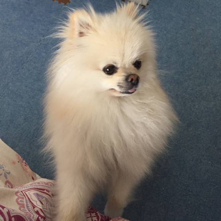 Db021ffb db59 4413 a94a f6d0d3cb4eaf 1520593858556