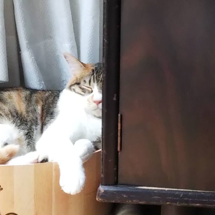 Db02369e 1815 4b1f 9fe9 72d92be28c92 1698055826201