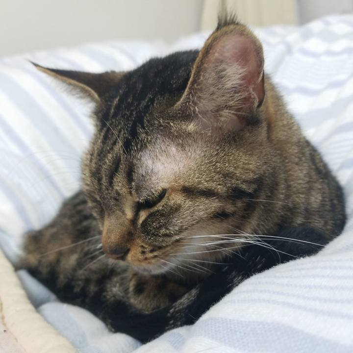 Db0236a8 dc40 40dc b39b aa22def803f0 1579815194734