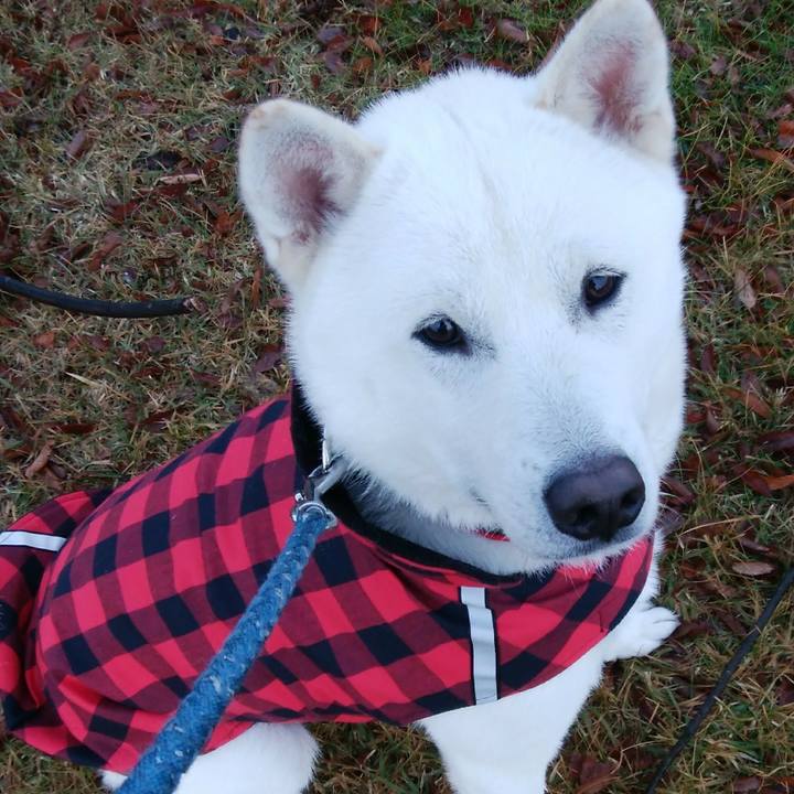 Db025212 6a74 4bf9 b92f 83c5d6a6c142 1511567380392