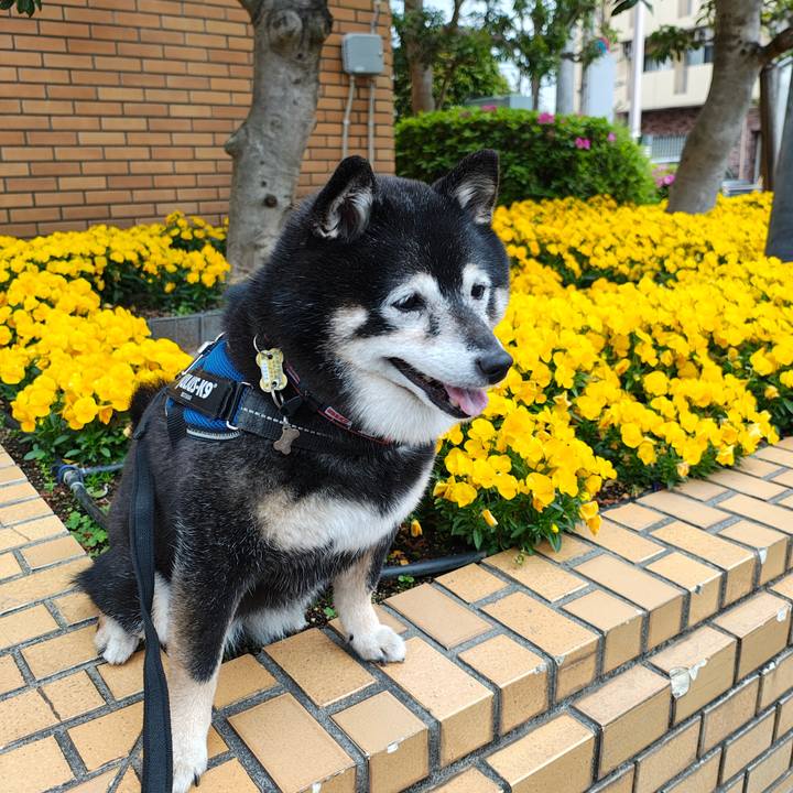 Db02698a f384 44d1 9cbd 6670ff8c6f6b 1776244753608