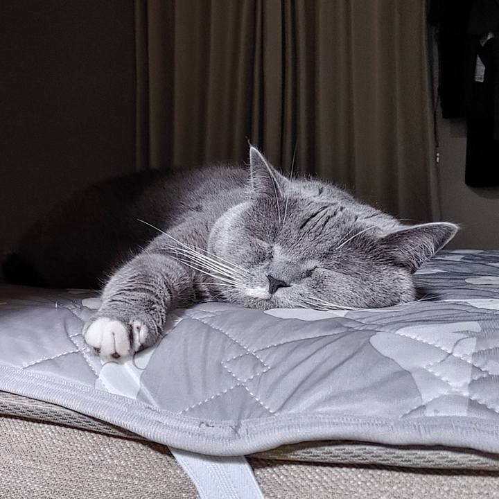 Db02bf88 de51 473e a203 63488bed9166 1686490799503