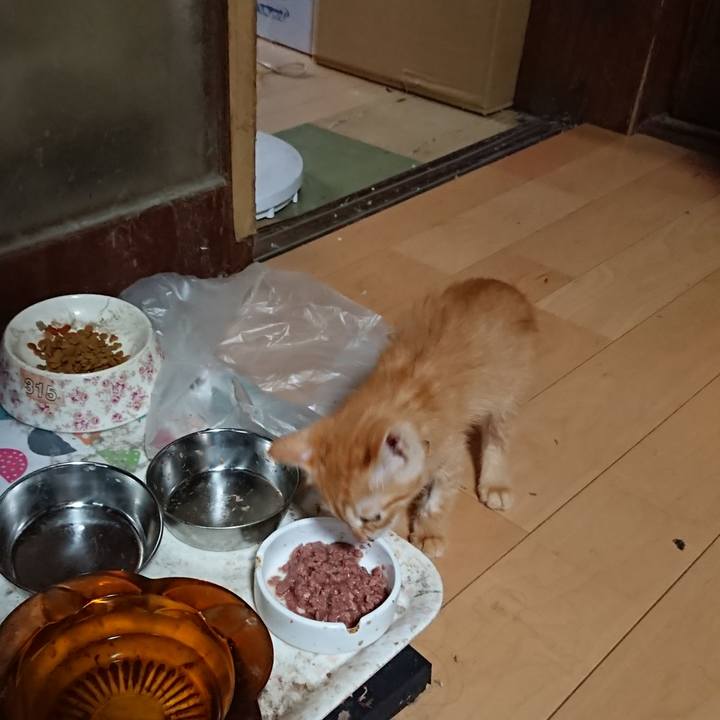 Db02c68c aa43 414a bda5 a176de687006 1628455841469