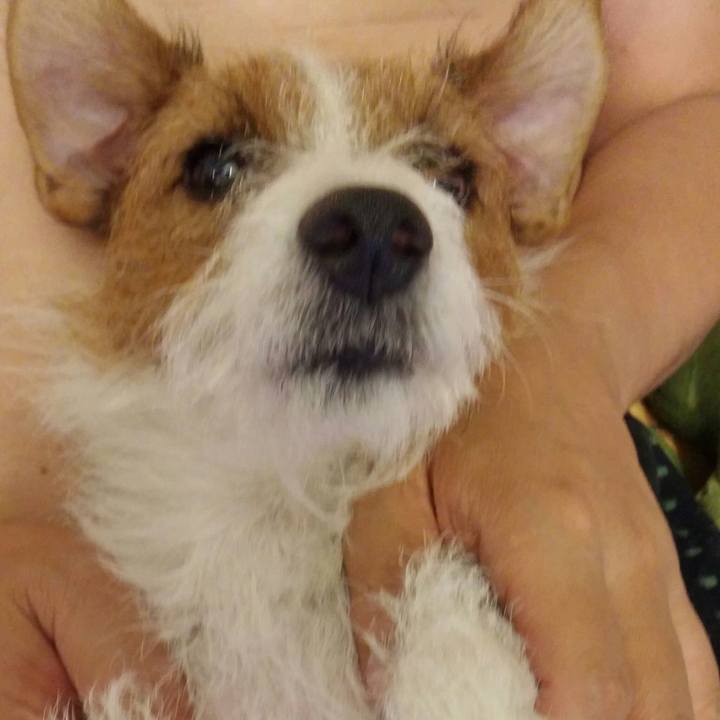 Db02c8d3 5a31 4100 bd8a 165b1339c8ea 1537535776619