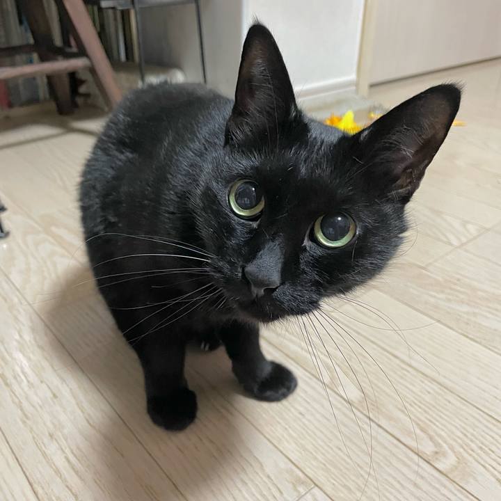 Db02e868 2c8e 49f7 8c3f aabb8f9d2bf8 1707131890917