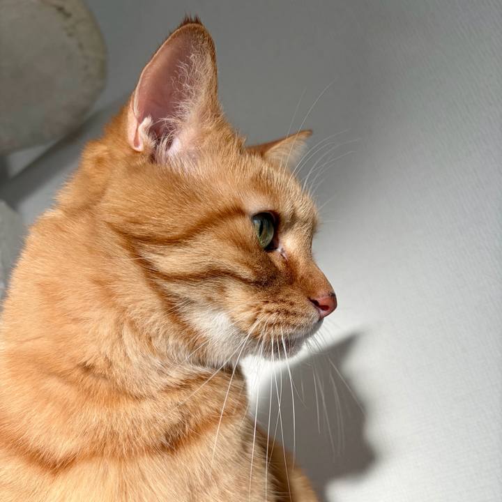 Db02fbb7 2239 4edb 8f10 62c0b49c3aac 1764309894911