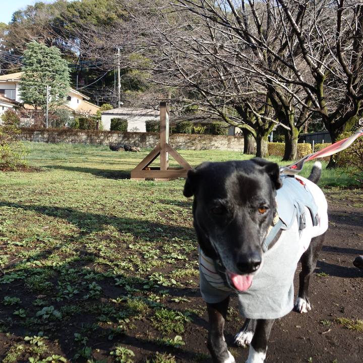 Db030fef 2b5b 449d 9904 cc26061d0900 1742170618069