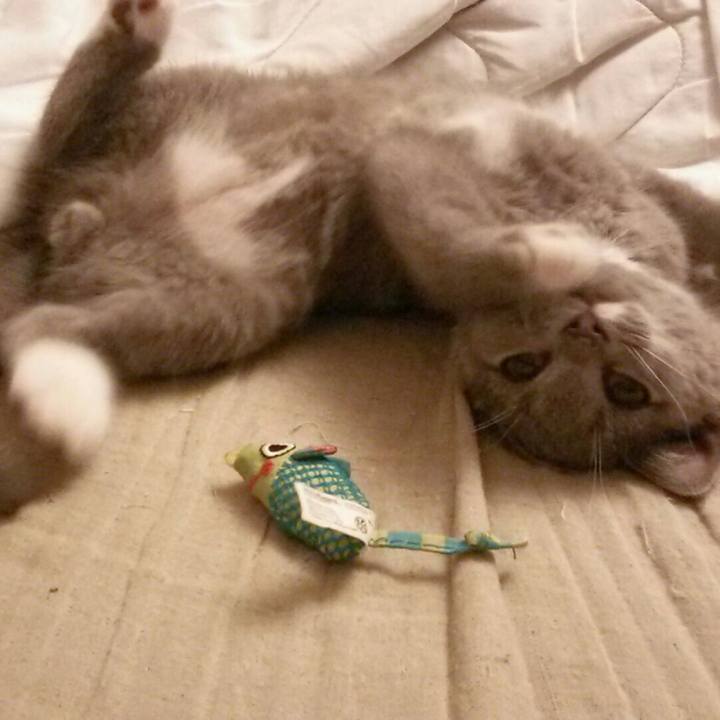 Db032e96 88df 476b 96eb 56485ff26be2 1531739219159