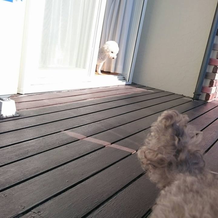 Db036f25 2088 40c1 ad84 e7eeb39f62e3 1510717577088